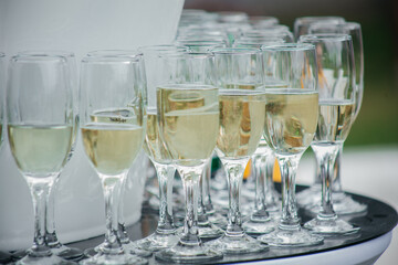 Beautiful appetizer oysters and glasses champagne