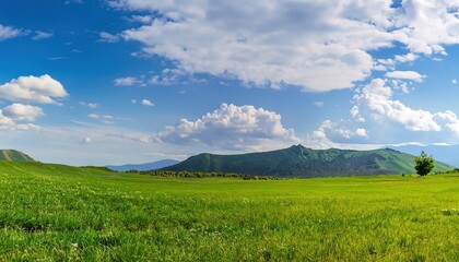 Panoramic natural landscape with green grass field, blue sky with clouds and and mountains in background. Panorama summer spring meadow. Shallow depth of field