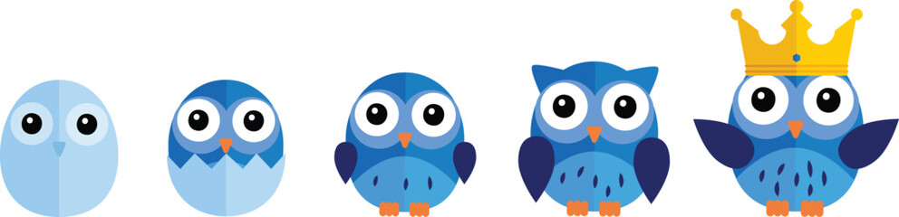 Cute Funny Owl Vector Collection of Bright Owls level From egg to king adult owl