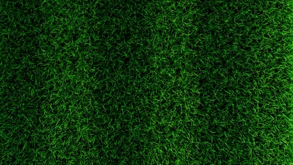 Foto op Canvas green grass soccer field background top view 3D rendering © Alextra