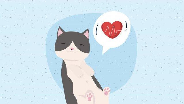 little cat mascot with heart cardio animation