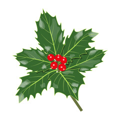 Christmas holly branch icon with green leaves and red berries isolated on transparent and white background. Close-up element for holiday design. Festive vector flat cartoon illustration for new year.