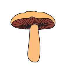 Mushroom isolated on white background. Mushroom in doodle style. Vector illustration.