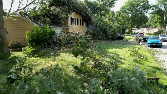 storm tornado tree damage slow drone cinematic rising flyover