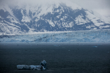 Cruise to Hubbard Glacier Bay in Alaska with floating ice bergs and drift ice floes on ocean water...