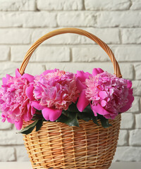 Fototapeta na wymiar Beautiful peonies in wicker basket on white table near brick wall