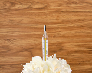 A mercury thermometer to measure the temperature stands in a flower. Medicine concept.