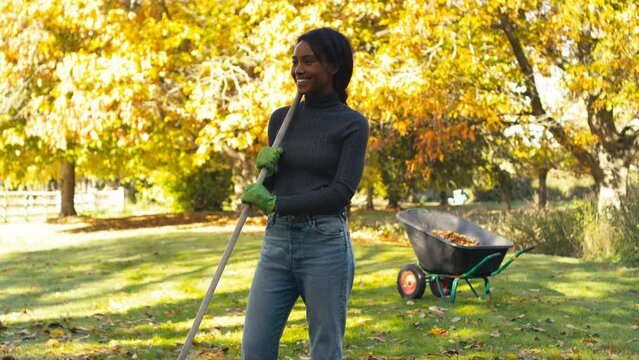 Woman in autumn garden at home sweeping up fallen leaves into wheelbarrow - shot in slow motion
