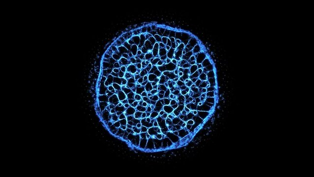 Blue organic fractal bacterial network growing