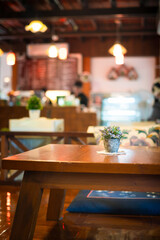 Flower pots on table in a cafe, Selective focus