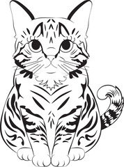 Obraz premium Tabby cat line art
