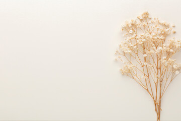 Beautiful flower background of pastel gypsophila flowers. Flat lay, top view.