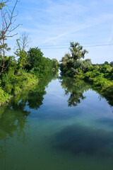 Olona river panorama nature natural landscape vision water plants beautiful