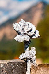Details of a stone rose near Heiterwang, Reutte, Tyrol, Austria