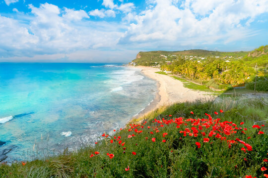 Landscape with Boucan Canot beach at Reunion Island, Africa