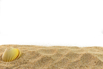 Sand Border with Sea Shells Isolated Transparent