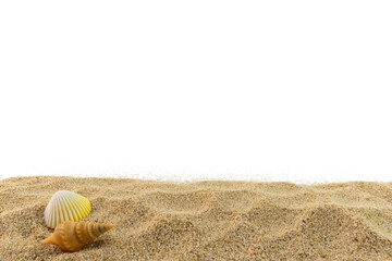 Sand Border with Sea Shells Isolated Transparent