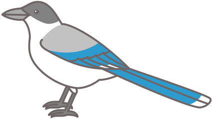 オナガ　野鳥　イラスト素材　横向き