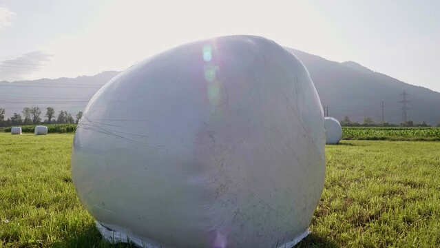 Silo Silage Bales of Hay Grass in Agricultural Farmland - Cinematic Sun Flare