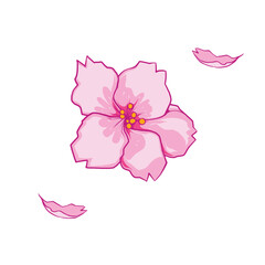 Pink sakura flower beauty © Krt Creating