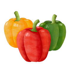 Capsicum Sketch Vegetable
