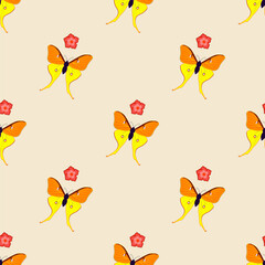 Yellow and Orange butterfly flying with flower isolated on light background - vector illustration