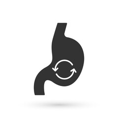 Grey Human stomach health icon isolated on white background. Vector