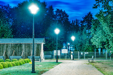 Rząd świecących latarni w parku nocą - obrazy, fototapety, plakaty