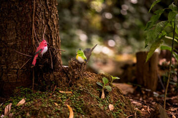 Tronco en jardín con decoración 