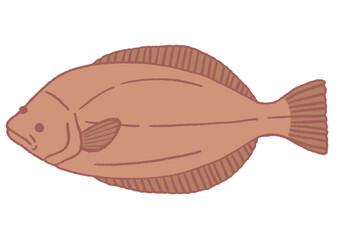 납작한 물고기 가자미 손그림 일러스트