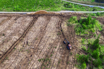 Timber harvester tractor with red cabin in a field with tree stumps. Aerial view. Forest cutting equipment. Building and firewood production. Ecology issue. Professional tool or equipment for top job