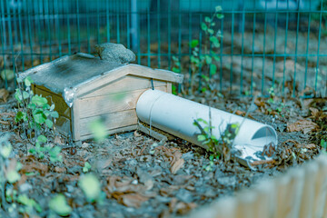 Domek dla gryzonia © Mariusz