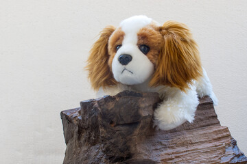 A plush toy puppy of a white-brown spaniel sits on a dark stone. Grey background.