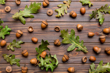 Branch with green oak tree leaves and acorns on colored background, close up top view