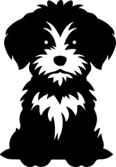 Havapoo Dog Icon