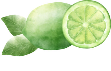 Watercolor Lime 