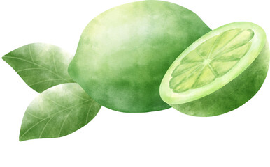 Watercolor Lime 