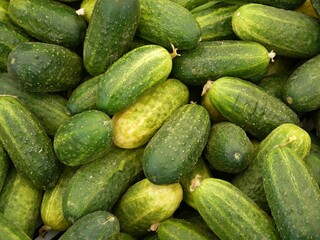 Fresh cucumbers from the market