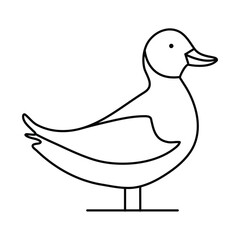 Continuous one line drawing of Duck vector illustration