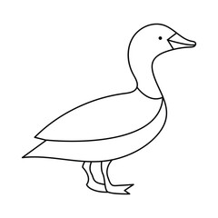 Continuous one line drawing of Duck vector illustration
