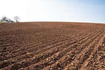 Plowed farmland with brown soil and a bright blue sky in spring 