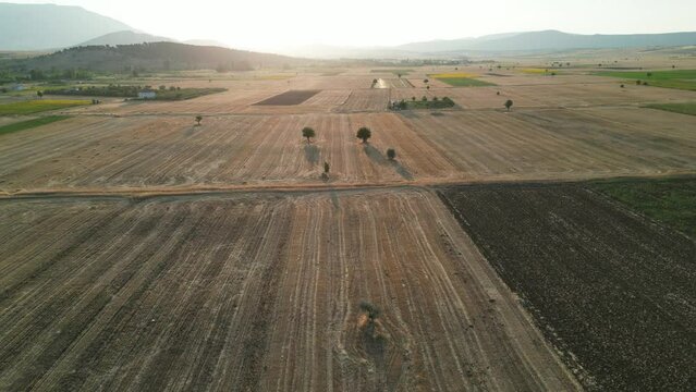 the future of agriculture, sustainable land, rural development programs and consolidation of fields and large agricultural areas