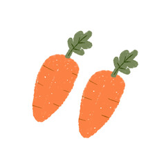 vegetables on a white background