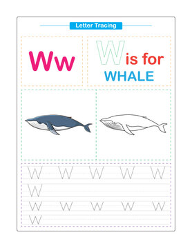 Uppercase and Lowercase. Cute children. Colorful ABC alphabet tracing. Practice worksheet for kids. Learning English vocabulary and handwriting. Letter Trace. Vector illustration