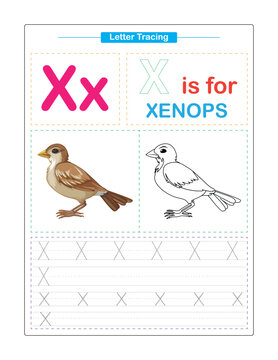 Uppercase and Lowercase. Cute children. Colorful ABC alphabet tracing. Practice worksheet for kids. Learning English vocabulary and handwriting. Letter Trace. Vector illustration