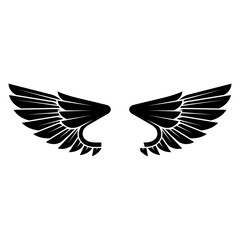 Obraz premium eagle wings vector 