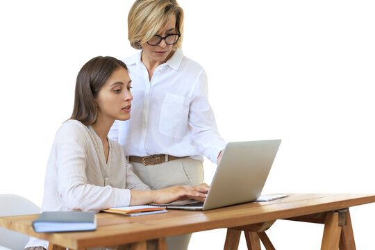 Two female collegues working with laptop and discussing new project on a transparent background