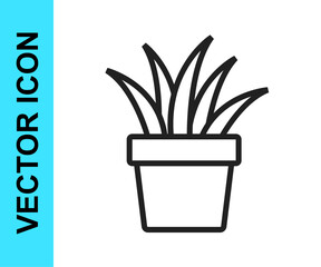 Black line Plant in pot icon isolated on white background. Plant growing in a pot. Potted plant sign. Vector