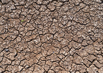 dry cracked earth