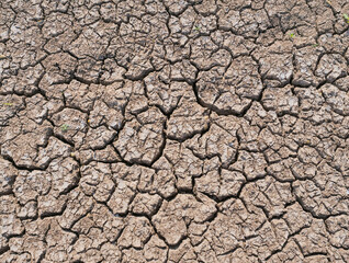 dry soil texture Cracked Land 